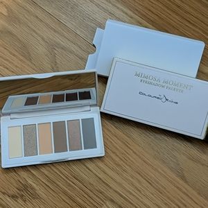 Coloured raine palette